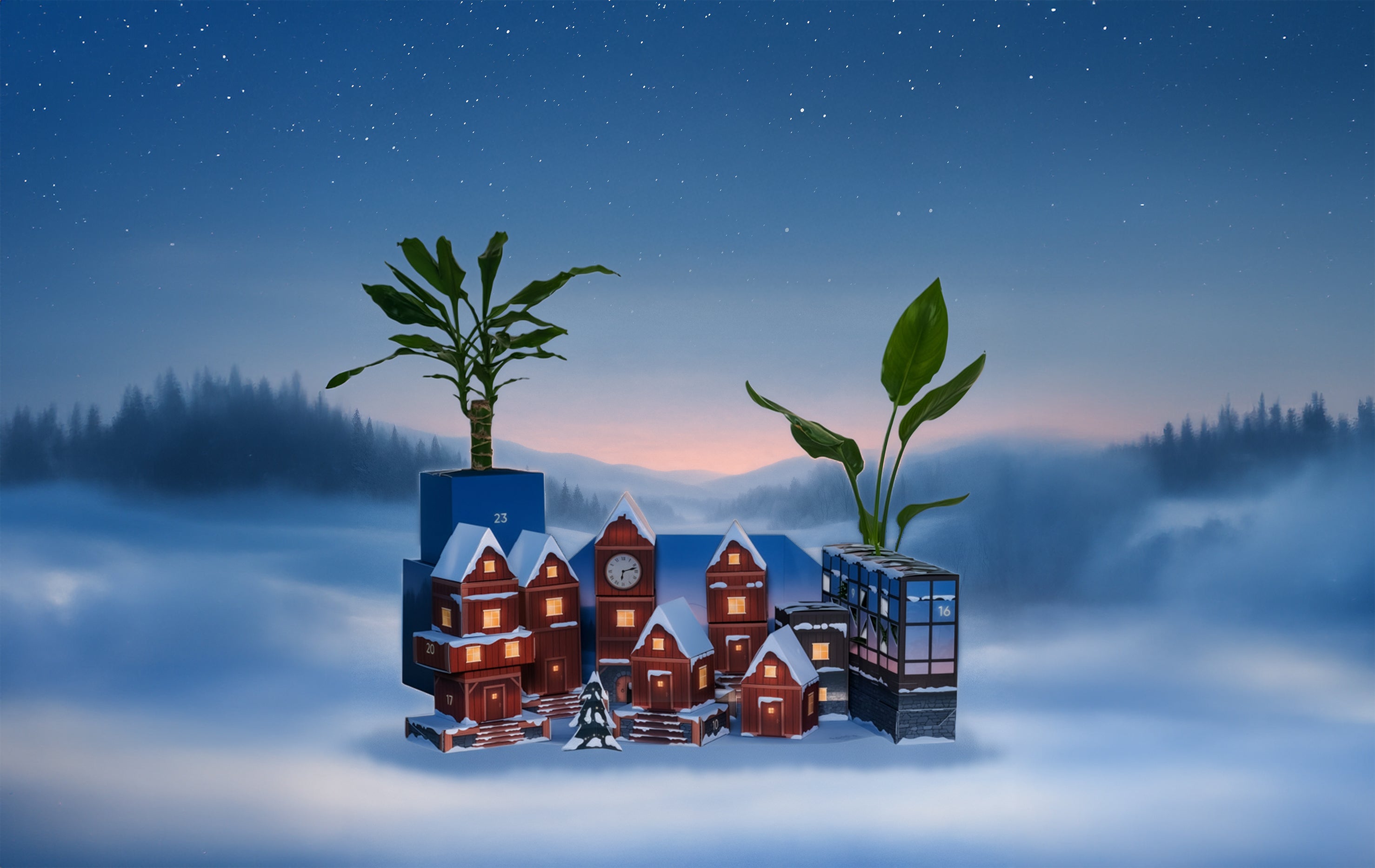 Das enthält der Pflanzen Adventskalender von feey | Edition 2025