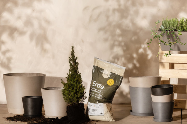 Auf einer hellen Holzfläche vor einer neutralen Wand sind ein kleiner Kiefernbaum, Blumentöpfe, ein Sack Erde mit der Aufschrift „Erde“ und ein Holzständer mit Kräutertöpfen angeordnet.