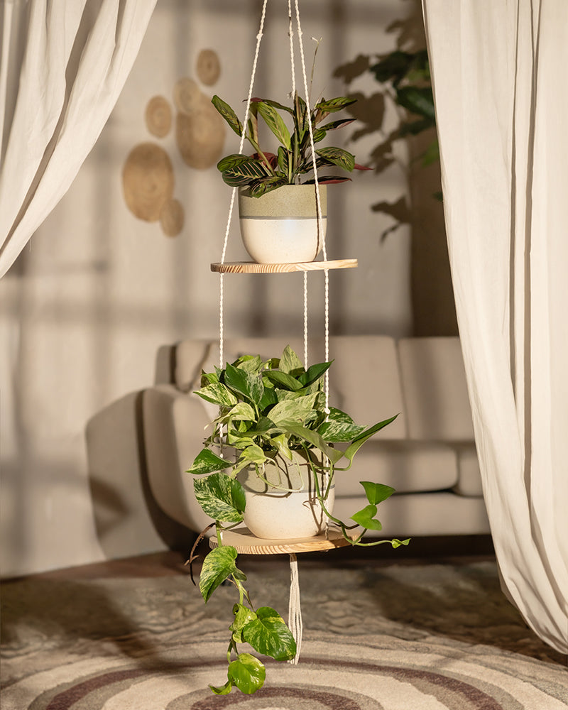 Update Makramee Blumenampeln - 2 Stück Rosa Pflanzenaufhänger Je 104cm