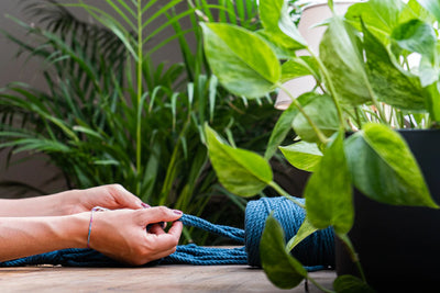 DIY: Pflanzenanhänger Makramee selber knüpfen