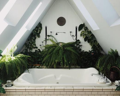 Top 10 der besten Pflanzen für dein Badezimmer