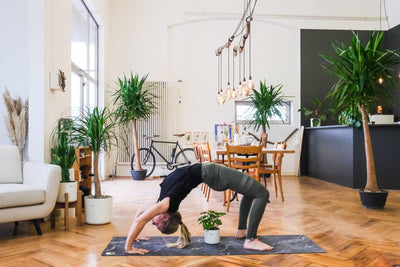 Plant Yoga 🧘🏼