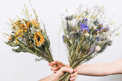 Deko mit Trockenblumen: wie du Trockenpflanzen am schönsten in Szene setzt