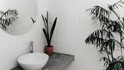 Ideen & Inspriation, wie du dein Badezimmer mit Pflanzen dekorieren kannst