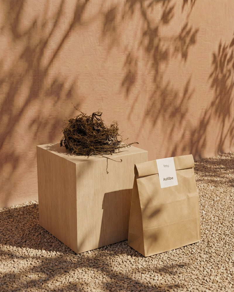 Astilbe-Rhizome und feey-Papiertüte auf einem Holzwürfel im warmen Sonnenlicht