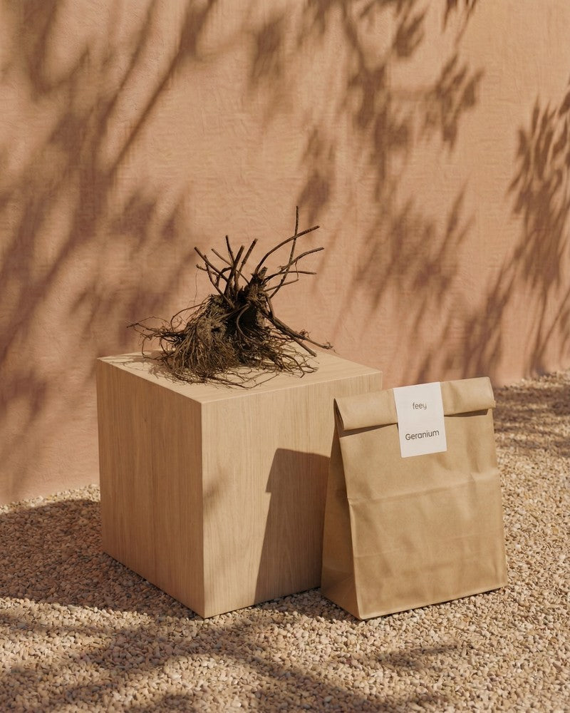 Ein Bündel getrockneter Wurzeln liegt auf einem hölzernen Würfel neben einer braunen Papiertüte mit der Aufschrift 