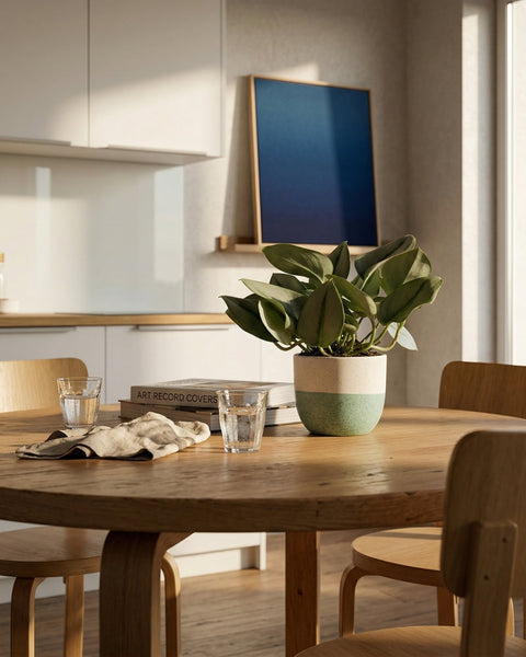 Ein hölzerner Esstisch mit einer Efeutute 'Moonlight' Pflanze, zwei Wassergläsern, einer Serviette und Büchern darauf. Holzstühle umgeben den Tisch, und ein blaues abstraktes Gemälde lehnt an der Wand in einer hellen modernen Küche.