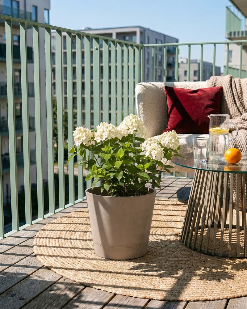 Weisse Rispenhortensie im taupefarbenen Venice-Übertopf steht auf einer Jute-Matte auf einem Holzbalkon mit grünem Geländer; im Hintergrund ein Beige-Sofa mit rotem Kissen und ein Glastisch mit Karaffe und Orange.