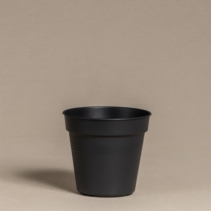 Innentopf (15 cm ⌀)