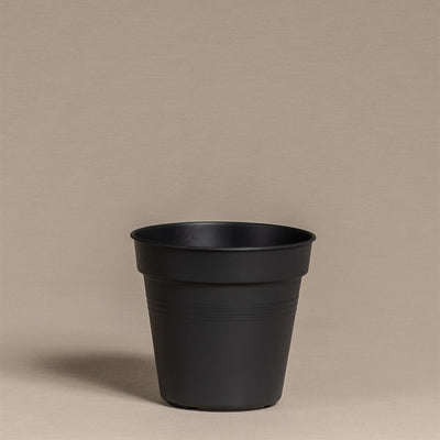 Innentopf (15 cm ⌀)