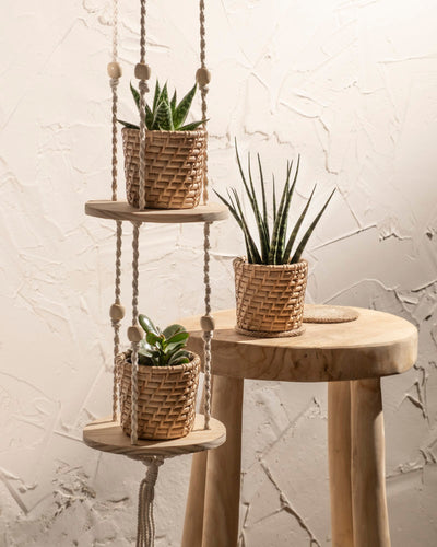 Drei Rattan-Babypflanzen-Körbe „Calen“ (3 Stk.) werden ausgestellt: Zwei hängen auf einem Seilregal neben einem hellen Holzhocker, auf dem der dritte Korb mit einer kleinen Pflanze steht, alles vor einer strukturierten weißen Wand.
