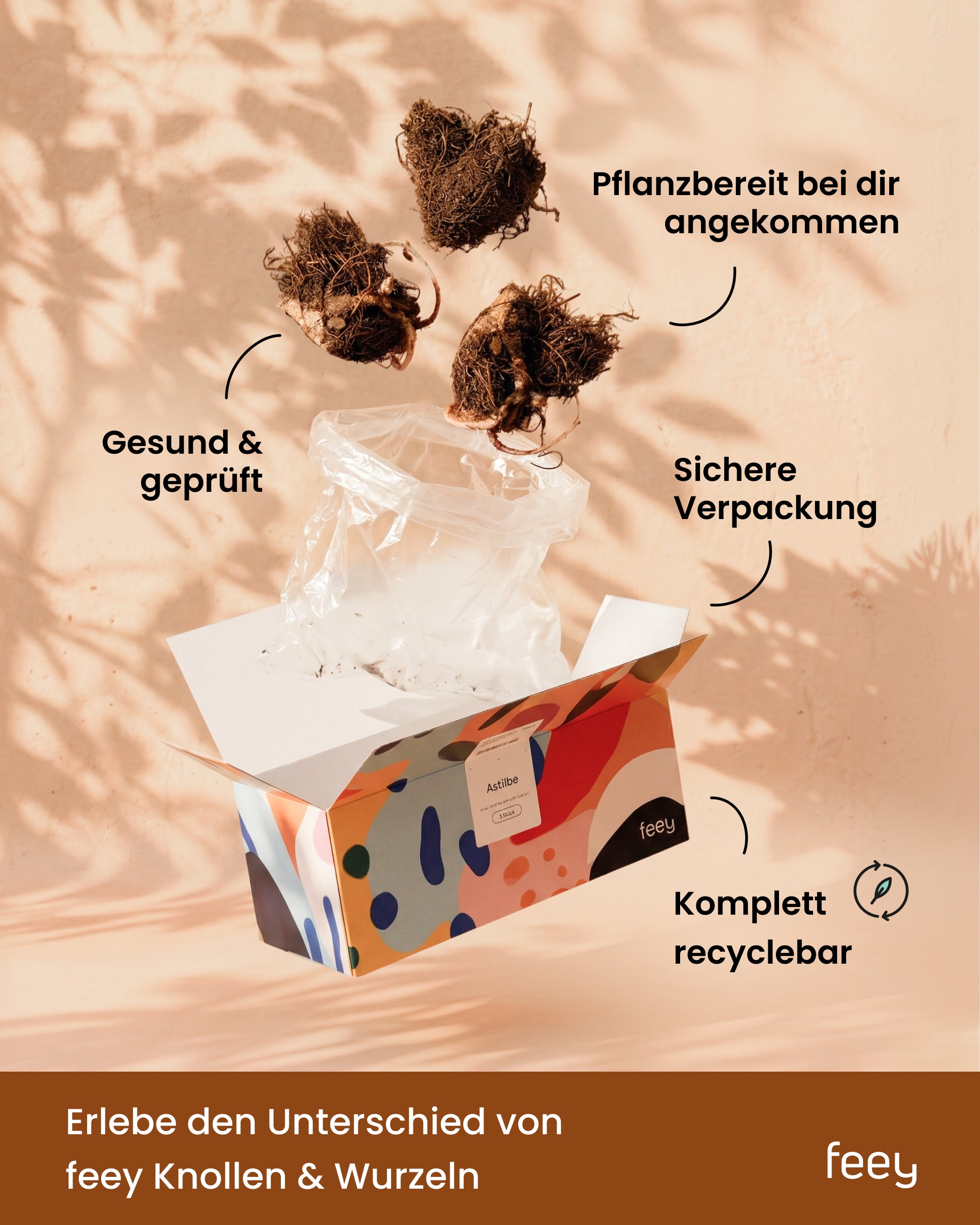 Drei Geranium-Wurzeln (blau) schweben über einer offenen, bunten 