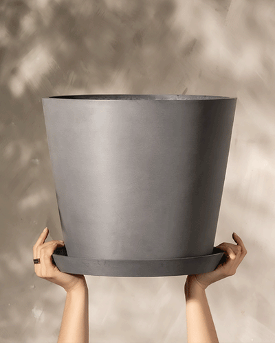 Zwei Hände, die aus dem unteren Bildrand hervortreten, halten einen großen, leeren grauen Kunststoff-Pflanzkübel (Amsterdam | 40 cm ⌀) von EcoPots vor einem neutralen Hintergrund mit subtilen Schatten. Die Hände liegen leicht geneigt am Boden des Topfes, die Finger sind zur Unterstützung gespreizt.