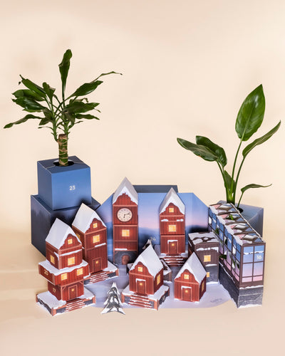 Der Pflanzen-Adventskalender zeigt dekorative Hauskästen mit verschneiten Dächern, einen Uhrenturm, zwei grüne Blumentöpfe und eine moderne Gebäudefassade, alles vor einem neutralen Hintergrund.