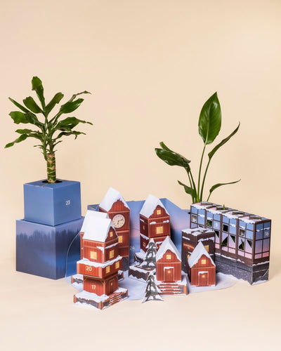 Eine festliche Szene mit echten Pflanzen in Blumentöpfen und schneebedeckten, hausförmigen nummerierten Schachteln aus dem Pflanzen-Adventskalender, angeordnet wie ein Dorf vor einem neutralen Hintergrund.