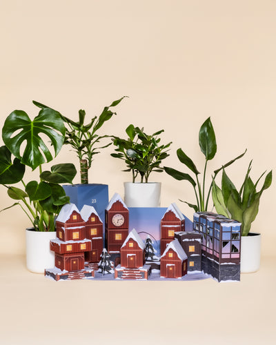 Papiermodelle von verschneiten Dorfhäusern und Gebäuden werden mit Zimmerpflanzen in weißen Töpfen auf beigem Hintergrund arrangiert und ergeben eine gemütliche Winterszene - ein ideales Display für den Pflanzen Adventskalender (Dschungel-Version).