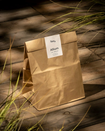 Eine braune Papiertüte mit der Aufschrift „Feey Allium (lila)“ steht auf einer Holzoberfläche, umgeben von grünen Grashalmen im sanften Sonnenlicht – perfekt, um dieses Zierlauchgewächs in Ihrem Garten anzupflanzen.