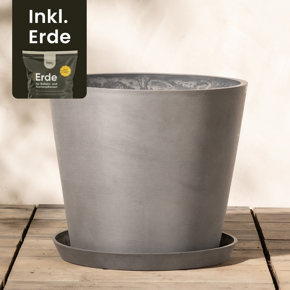 Ein grauer Kunststoff-Pflanzkübel (Amsterdam | 40 cm ⌀) von EcoPots mit passendem Untersetzer steht auf einer Holzfläche vor einem schlichten Hintergrund. Es gibt ein kleines Overlay-Bild eines Beutels mit der Aufschrift „Erde“ und dem Text „Inkl. Erde“, was darauf hinweist, dass Erde im Kunststoff-Pflanzkübel enthalten ist, der außerdem über ein effizientes Drainagesystem verfügt.