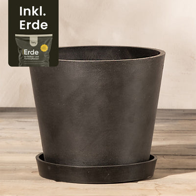 Ein schwarzer Pflanzkübel aus Kunststoff (Amsterdam | 20 cm ⌀) steht auf einer Holzfläche mit passendem Untersetzer darunter. In der oberen linken Ecke ist ein Sack Erde eingearbeitet, auf dem in Weiß „Inkl. Erde“ steht, was darauf hinweist, dass Erde enthalten ist. Das EcoPots-Design beinhaltet außerdem ein effizientes Drainage-System.