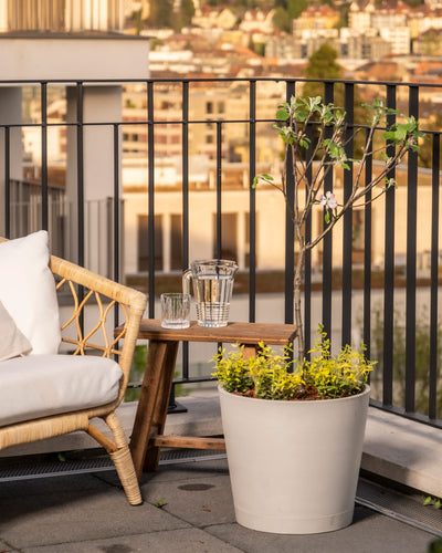 Gemütliche Braeburn-Terrasse mit einem Korbstuhl mit Kissen auf der linken Seite, einem Holztisch mit einem Glaskrug und einem Glas und einem Apfelbaum mit grünen Blättern daneben. Die Stadtlandschaft verschwimmt im Hintergrund.