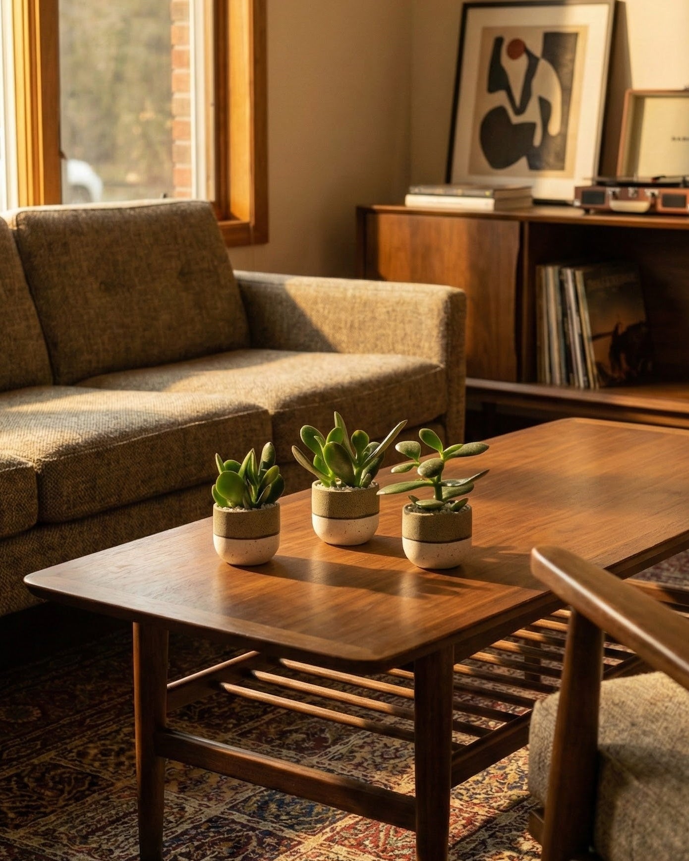 Baby Geldbaum (3er Set) • feey