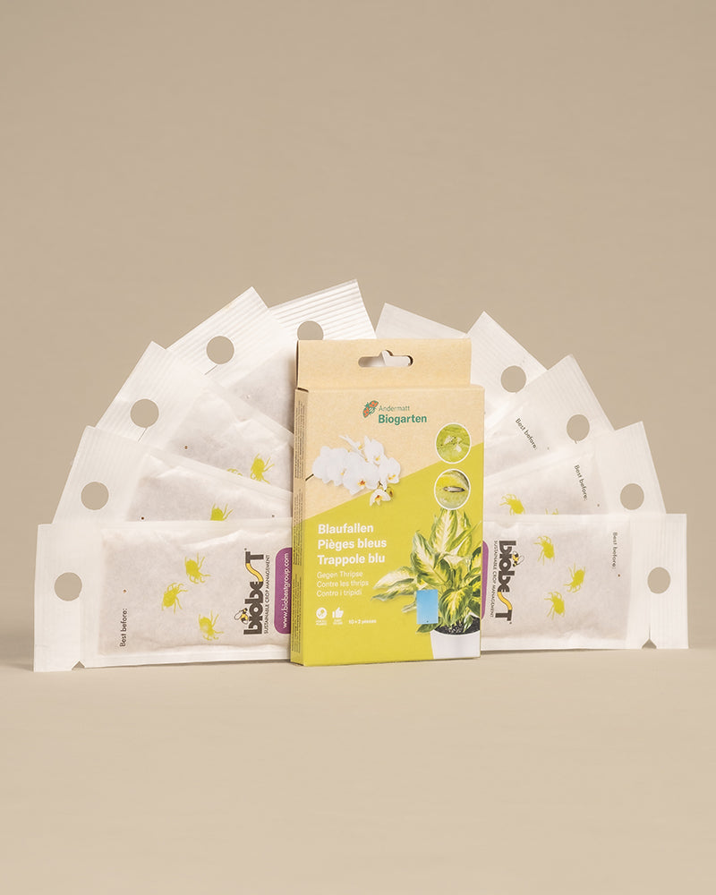 10 Mal Raubmilbenpackung und eine Blautafelpackung