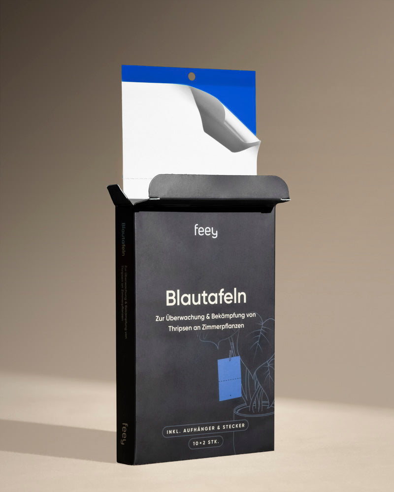Eine geöffnete schwarze Schachtel mit der Aufschrift „Bekämpfungsset gegen Thripse“ enthält blaue Klebefallen zur Überwachung und Bekämpfung von Thripsen an Zimmerpflanzen. Die Verpackung empfiehlt die Kombination mit Raubmilben für eine effektive Schädlingsbekämpfung. Die Schachtel steht auf einem beigen Untergrund.