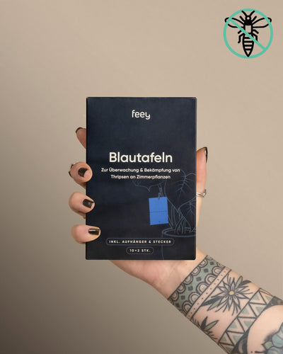 Eine tätowierte Hand mit schwarzem Nagellack hält eine Blautafeln gegen Thripse-Box von feey vor beigem Hintergrund. Oben rechts befindet sich ein Bienensymbol. Die Box hilft bei der Überwachung und Bekämpfung von Thripsen und Schädlingen an Zimmerpflanzen.