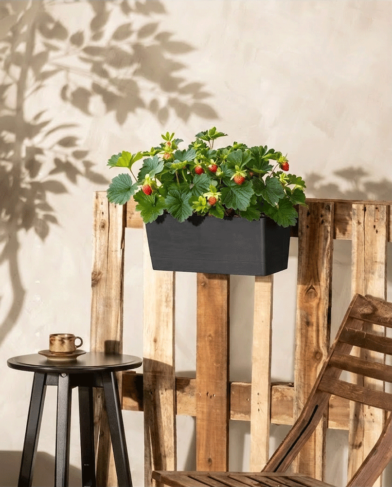 Der Brügge 48 cm Pflanzkasten für Geländer in Beige, bepflanzt mit Lavendel und Rosmarin, steht auf einer Holzpalette an einer hellen Wand. In der Nähe stehen ein Holzstuhl und ein schwarzer Tisch mit einem Becher, dessen Blätterschatten sanft an der Wand tanzen.