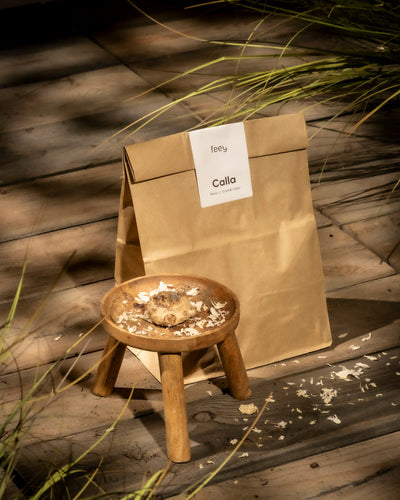 Eine braune Papiertüte mit der Aufschrift „Calla (weiß)“ steht auf Holzbrettern, daneben ein kleiner Hocker mit getrockneten Pflanzen. Sonnenlicht fällt durch die Schatten und schafft eine warme, natürliche Atmosphäre, die an den Lebensraum der Zantedeschia erinnert.