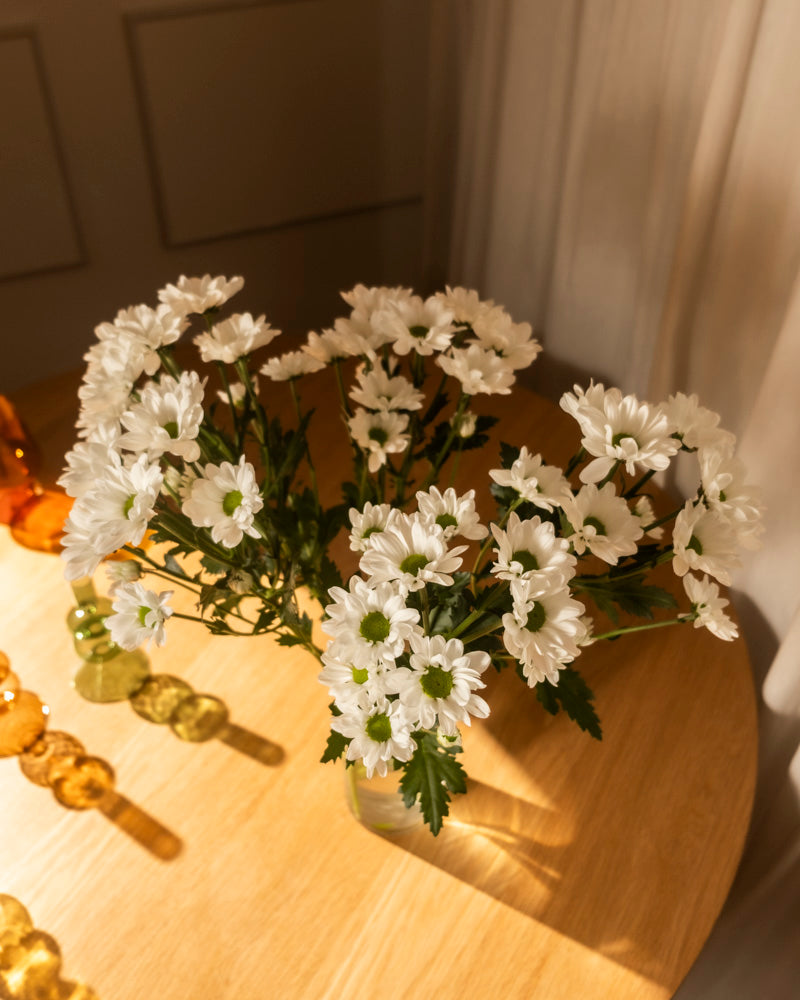Chrysanthemen weiß (5 Stk.)