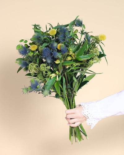 Eine Hand, die den Strauß des Erfolgsgeheimnisses - grüne Blätter, gelbe Bälle und blaue Disteln - hält, strahlt vor einem beigen Hintergrund positive Energie aus. Die Person trägt ein weißes, langärmeliges Hemd mit spitzenbesetzten Manschetten.