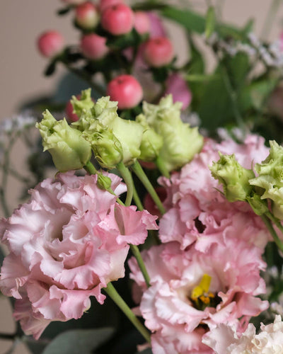 Eine Nahaufnahme von rosafarbenen Ballerina-Lisianthusblüten in voller Blüte mit gekräuselten Blütenblättern, grünen Knospen und rosa Beerenbüscheln bildet einen zarten Strauß vor einem sanft verschwommenen Hintergrund.