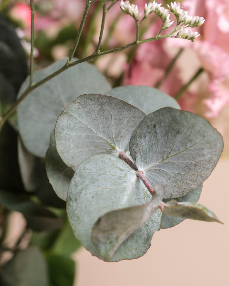 Nahaufnahme von hellgrünen, runden Eukalyptusblättern der Ballerina-Pflanze, die sichtbare Adern und Texturen aufweisen. Zarte rosa und weiße Blumenstraußblüten setzen einen sanften Hintergrundakzent.
