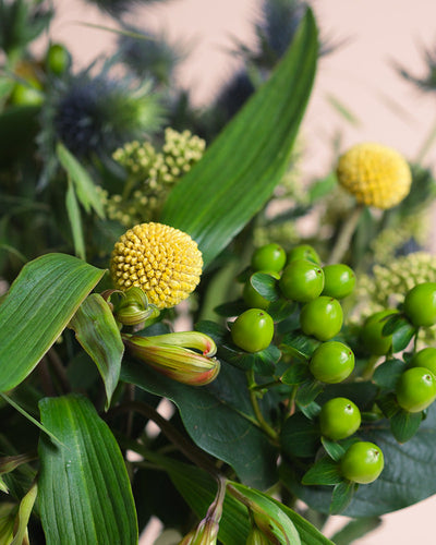 Eine Nahaufnahme des Erfolgsgeheimnis-Bouquets mit gelben Bällen, grünen Beerenbüscheln, länglichen Blättern und violetten, distelähnlichen Blüten, die vor einem neutralen Hintergrund positive Energie ausstrahlen.
