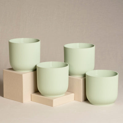 Vier hellgrüne, gerippte Topfsets (4 x 14) sind in einem minimalistischen Arrangement angeordnet, wobei zwei auf beigen Blöcken und zwei direkt auf einer beigen Oberfläche platziert sind, wodurch ein optisch ansprechendes, ausgewogenes Arrangement entsteht. Perfekt für Zimmerpflanzenliebhaber, die eine elegante Note suchen.