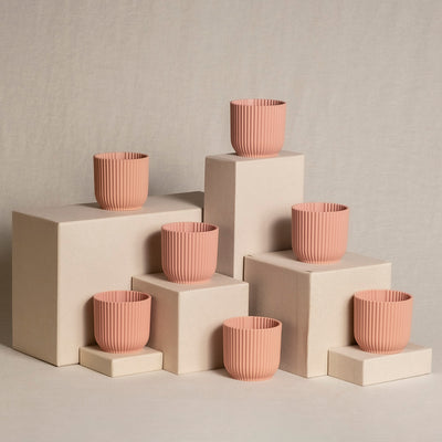 7er-Topfset für Babypflanzen in Pink.