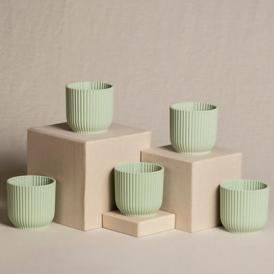 5er-Topfset für Babypflanzen in Mint.