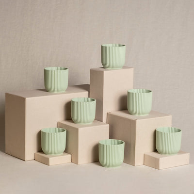 7er-Topfset für Babypflanzen in Mint.