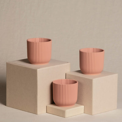 3er-Topfset für Babypflanzen in Pink.