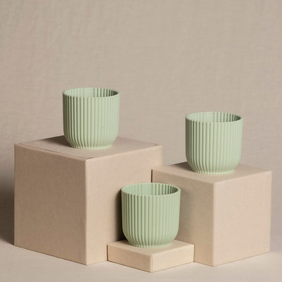 3er-Topfset für Babypflanzen in Mint.