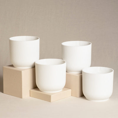 Vier weiße, gerippte Keramik-Topfsets (4 x 14) stehen auf hellbeigen Sockeln vor einem passenden Hintergrund. Das minimalistische Design zeichnet sich durch vertikale Linien aus, die um die Oberfläche jedes Topfes verlaufen. Das Bild vermittelt eine klare, moderne Ästhetik.
