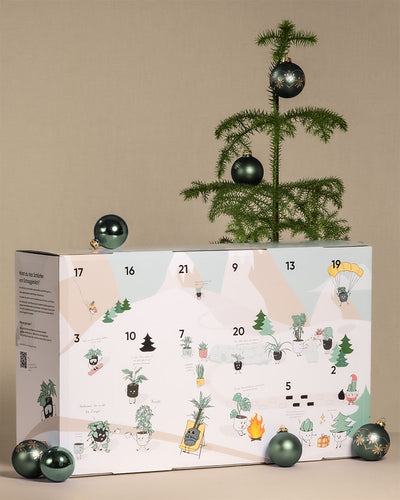 Adventskalender von feey geschmückt mit grünen Weihnachtskugeln und einer Zimmertanne im Topf von feey