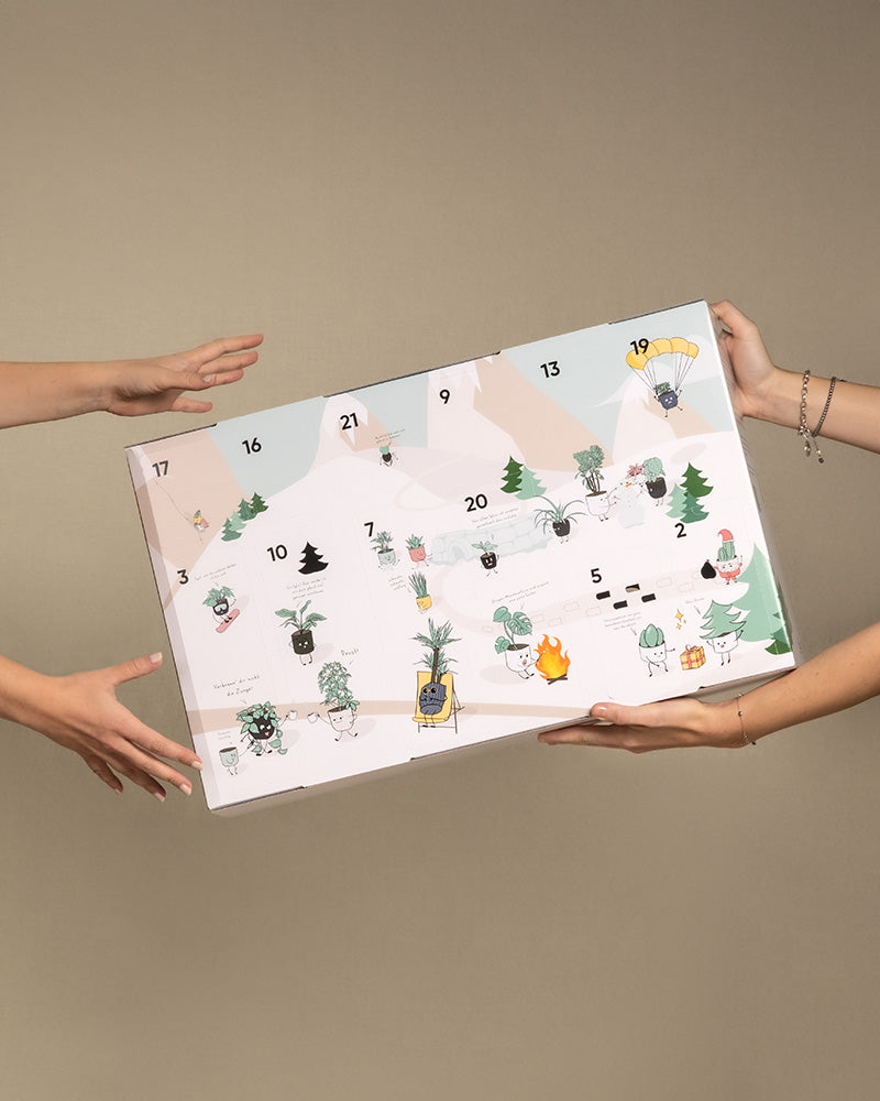 Adventskalender von feey wird von zwei Händen an eine andere Person verschenkt
