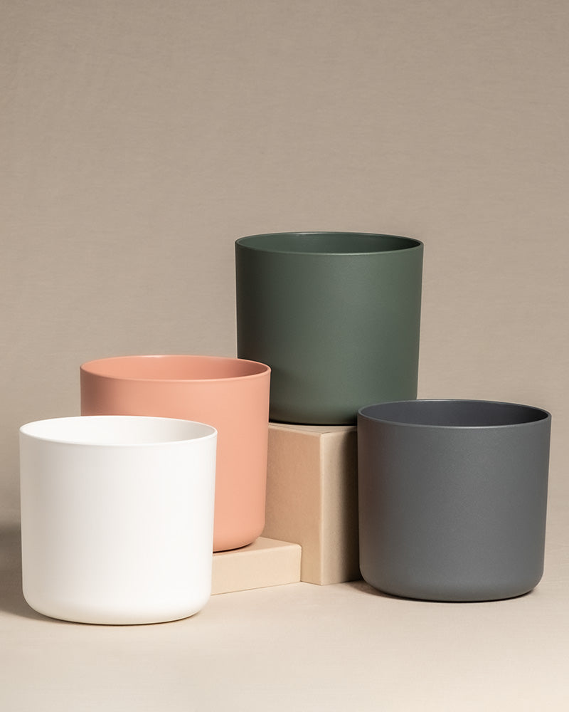 Pflanznübertöpfe in den Farben weiss, grün, pink und anthrazit stehen auf einem Holztisch