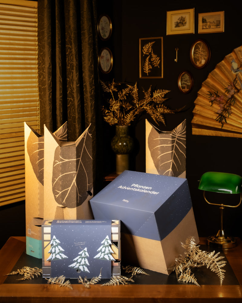 In einem gemütlichen Raum mit festlicher Weihnachtsdekoration steht der Pflanzen Adventskalender, exquisit gestaltete Geschenkboxen, die mit Blattmustern und Sternen geschmückt sind. Inspiriert vom Winterdorf-Charme stehen diese Boxen auf einem Tisch, umgeben von goldenen Farndekorationen und eleganter Wandkunst, und schaffen so die perfekte Adventskalender-Atmosphäre.