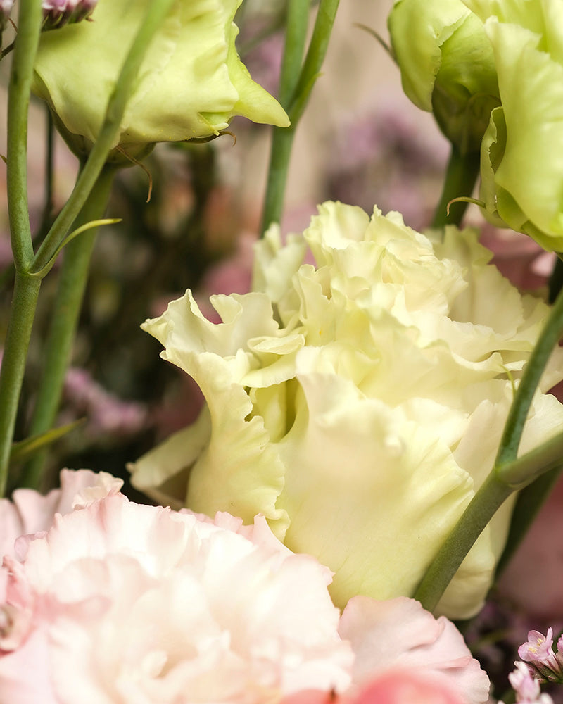 Nahaufnahme von Morgenlicht, einem Strauß aus blassgelben und zartrosa Lisianthus mit gekräuselten Blütenblättern und grünen Stielen, vor einem sanft verschwommenen Hintergrund - die perfekten Herbstblumen, um Ihr Zuhause aufzuhellen.