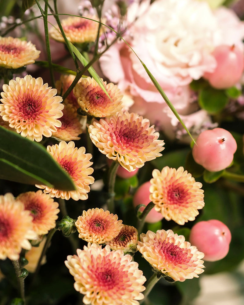 Eine Nahaufnahme von Morgenlicht, einem von Hand gebundenen Blumenarrangement mit pfirsichfarbenen und rosafarbenen Chrysanthemen, rosafarbenen Beeren, grünen Blättern und einer blassrosa Rose - ideale Herbstblumen, die Ihr Zuhause verschönern.