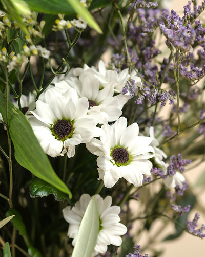 Nebelmeer in Nahaufnahme: Weiße Gänseblümchen mit dunkler Mitte, zarte Blüten und zartviolette Blüten inmitten grüner Blätter ergeben einen frischen, natürlichen Blumenstrauß.