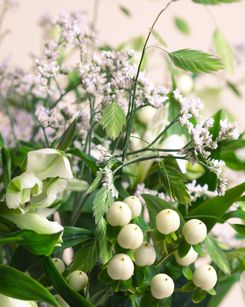 Eine Nahaufnahme von Luftkuss zeigt grüne Blätter, kleine weiße Beeren, blassviolette Blüten und eine weiße Blume vor einem weichen, neutralen Hintergrund - und fängt das Gefühl von Liebe in jedem zarten Detail ein.